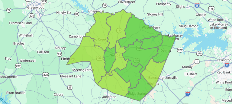 Saluda’s 2026 Primary Turnout Breaks New Ground